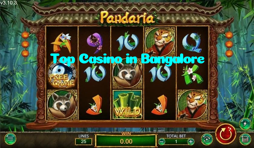 available types of Top Casino in Bangalore bet including pre-match live express and system bets